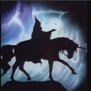 COPY - WIZARD ON HORSEBACK Airbrushed T-shirt Custom MENS